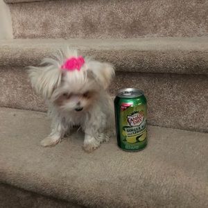 Meet your Posher, Shikera